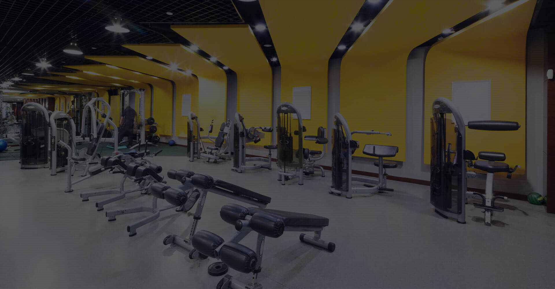 Best Fitness Franchise