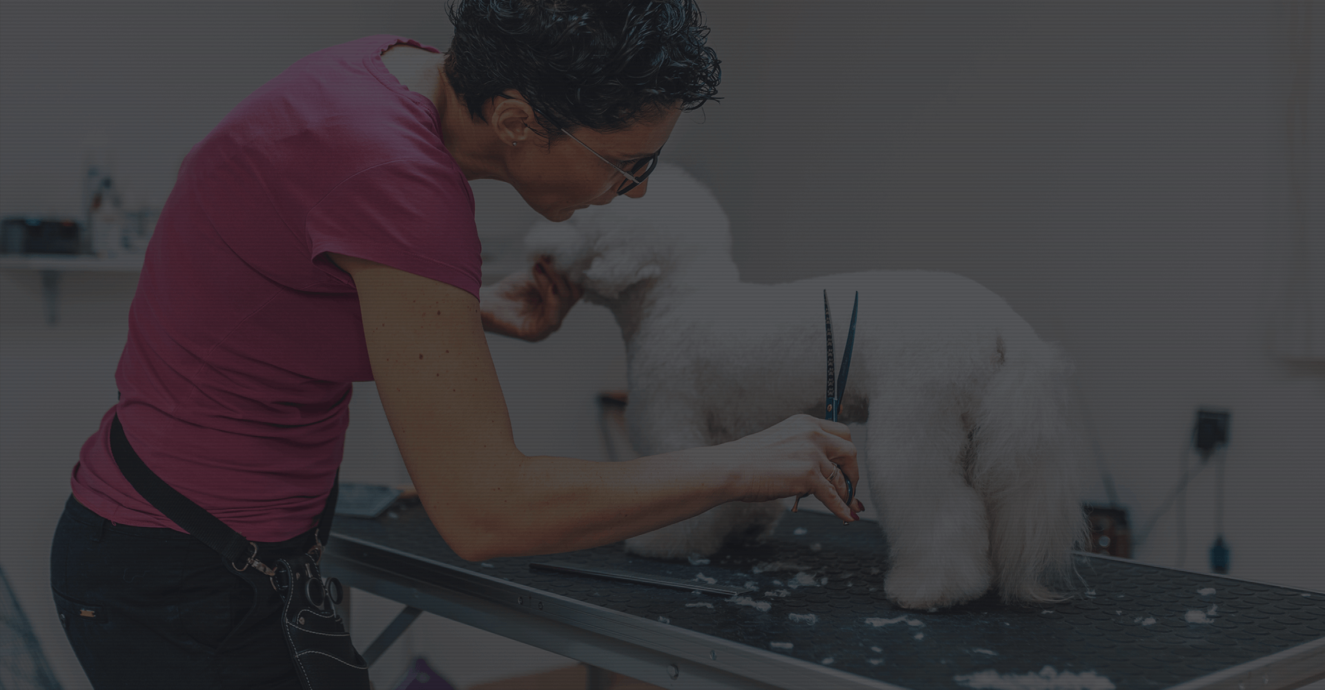 Best Lifestyle Franchise