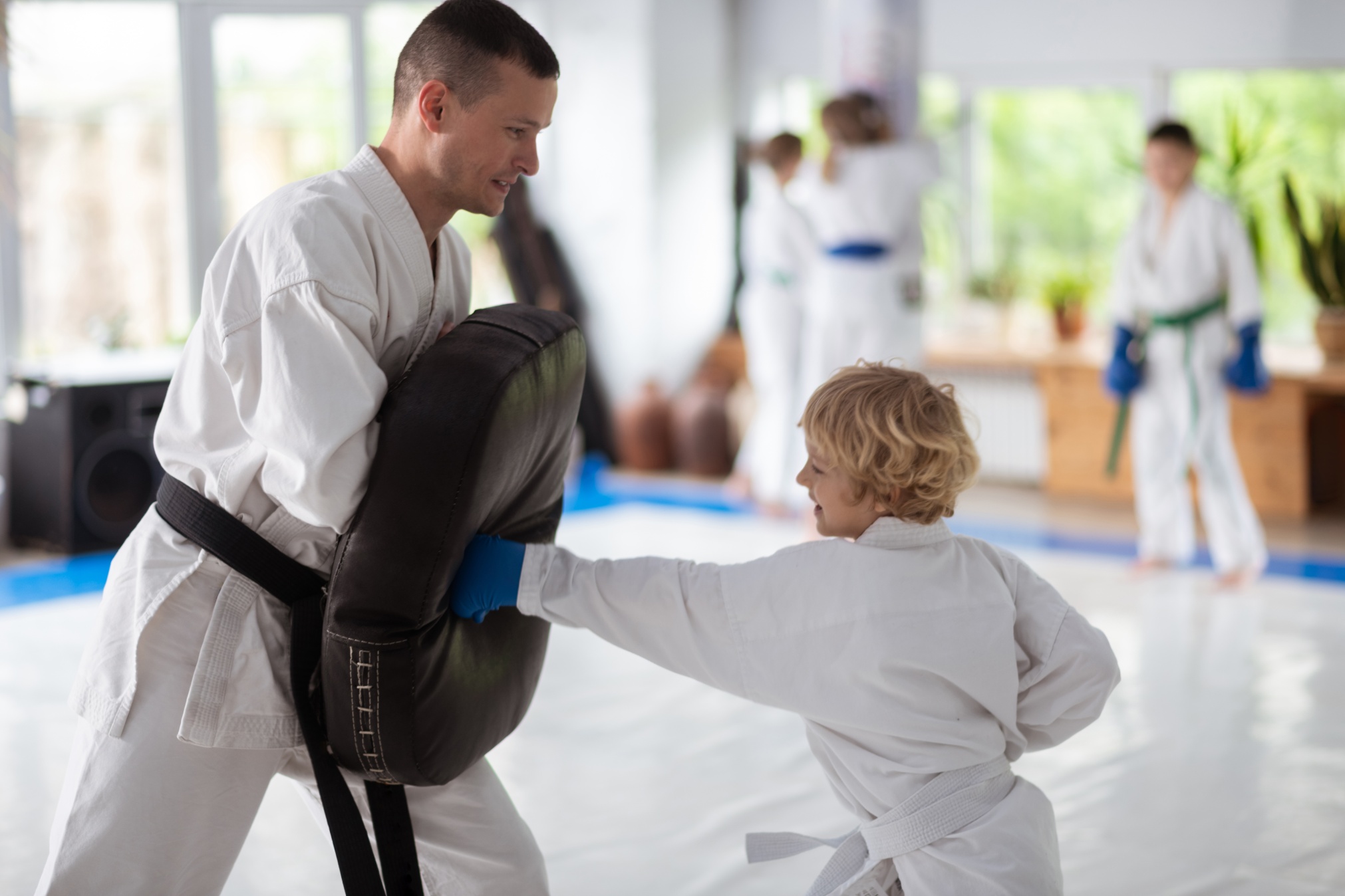 Premier Martial Arts acquired by Unleashed Brands Global Franchise