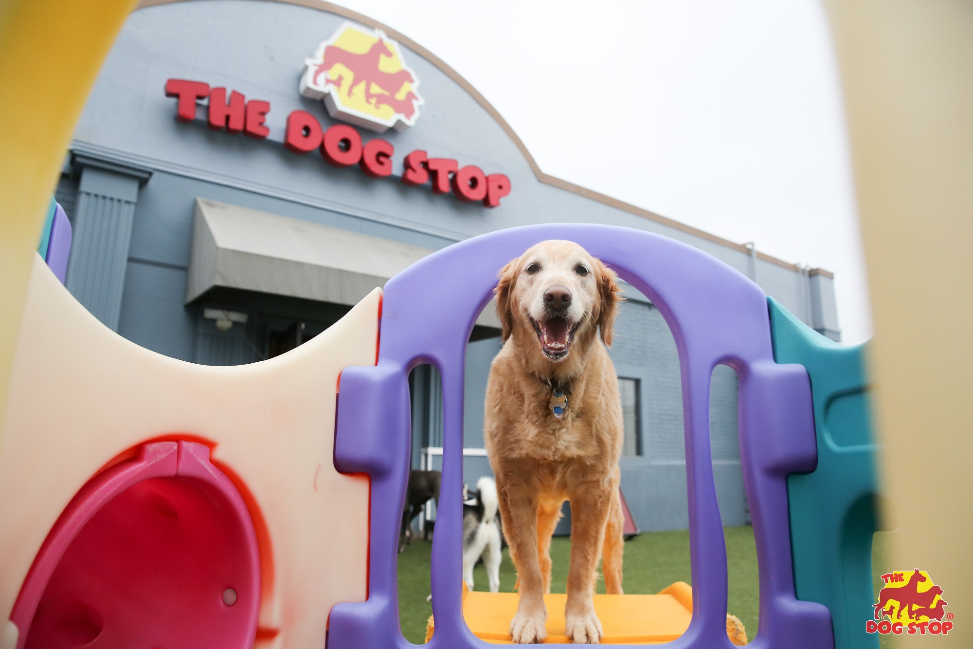 The Dog Stop continues national expansion Global Franchise